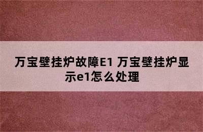 万宝壁挂炉故障E1 万宝壁挂炉显示e1怎么处理